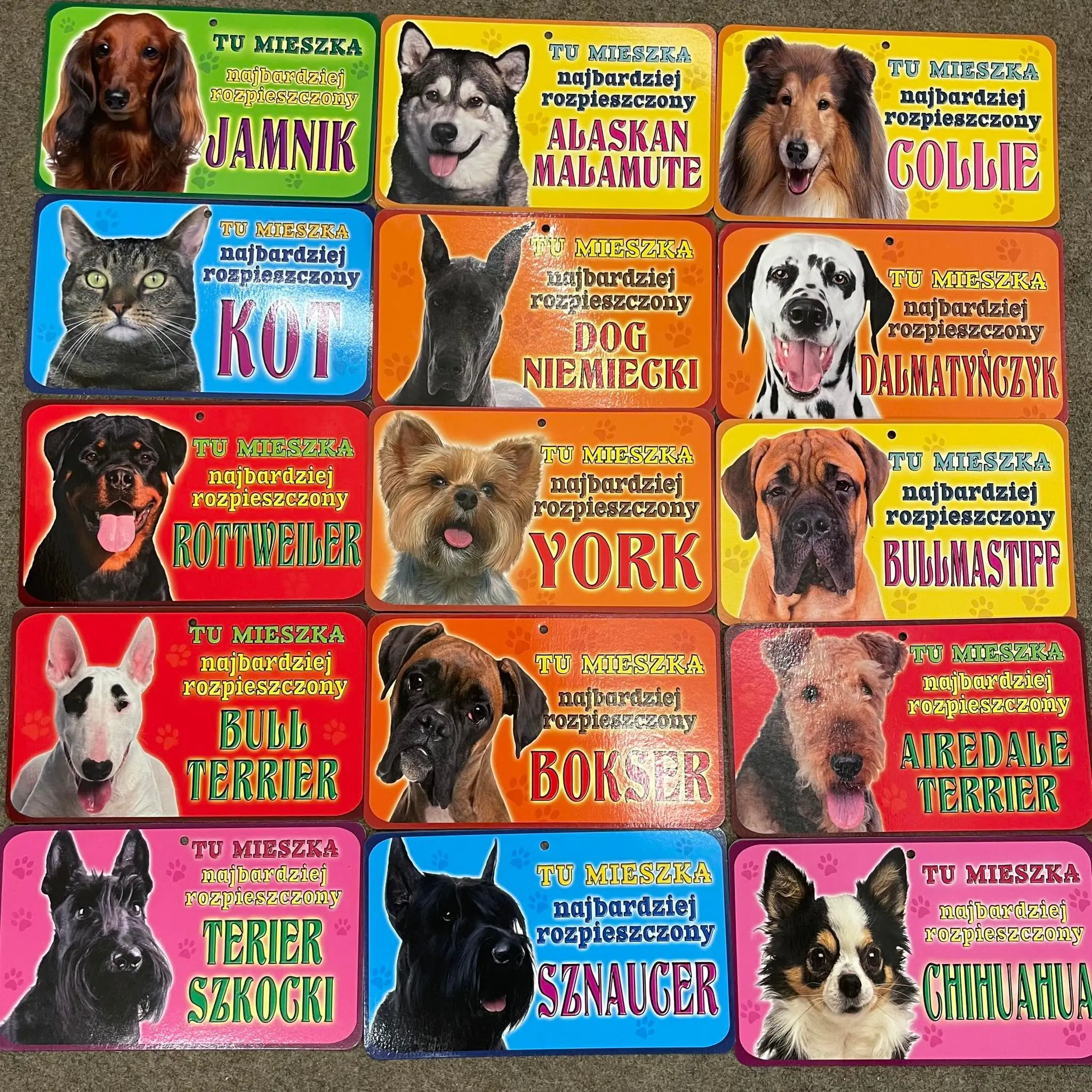 288963083_581171743680337_2086643679318473842_n